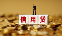 成都17哪有个人借贷-成都17小额贷款公司-成都17私借空放免费上门